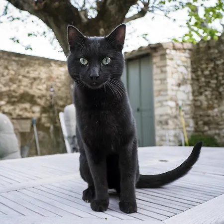 Le Mas De La Fontaine